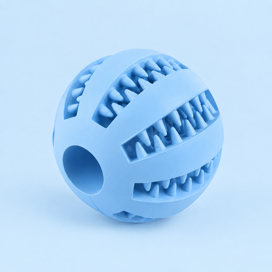 dog ball