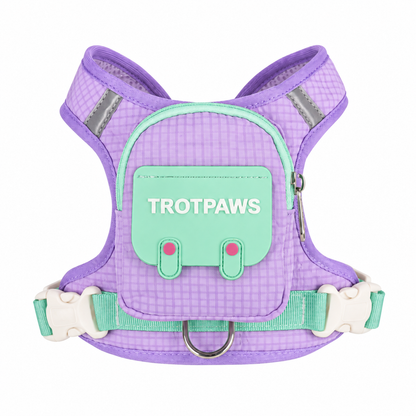 Adorable Dog Backpack